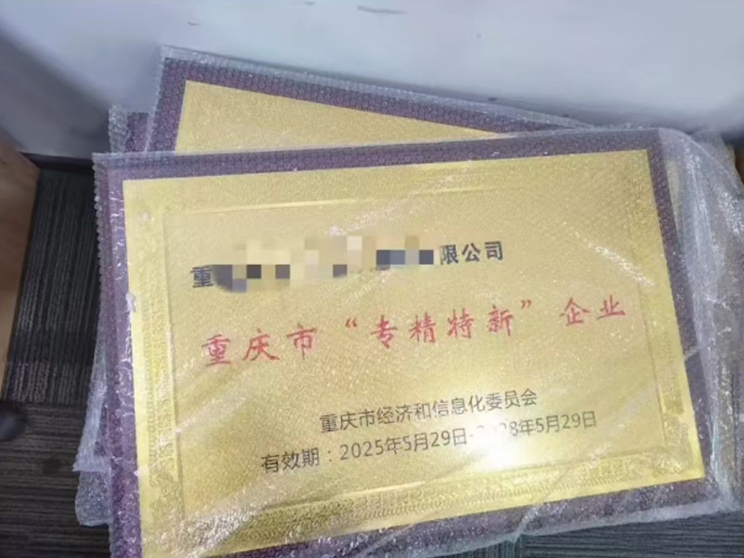 高新技术企业、专精特新、小巨人怎么选？重庆企业为何都选这家？